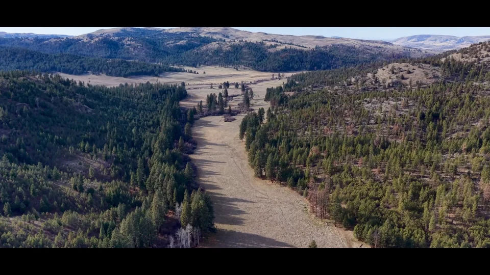 Aerial view of the forested valleys and open meadows at Kinzua Mountain Outfitters